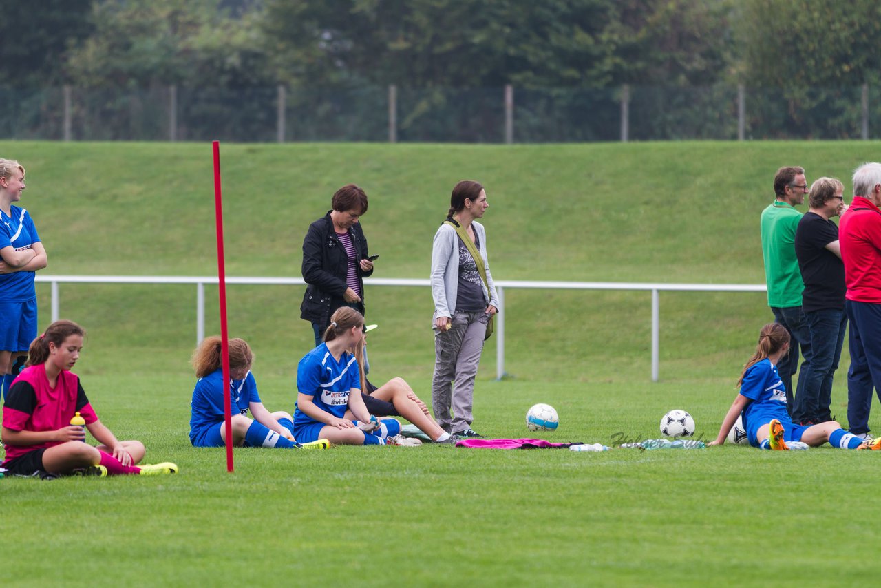 Bild 210 - B-Juniorinnen FSG BraWie 08 - JSG Sandesneben : Ergebnis: 2:0